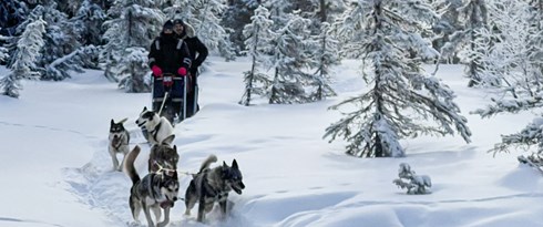 @Lucaslepage Loke'sdayout Guests