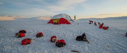 @Lucaslepage Expedition Morning Camp