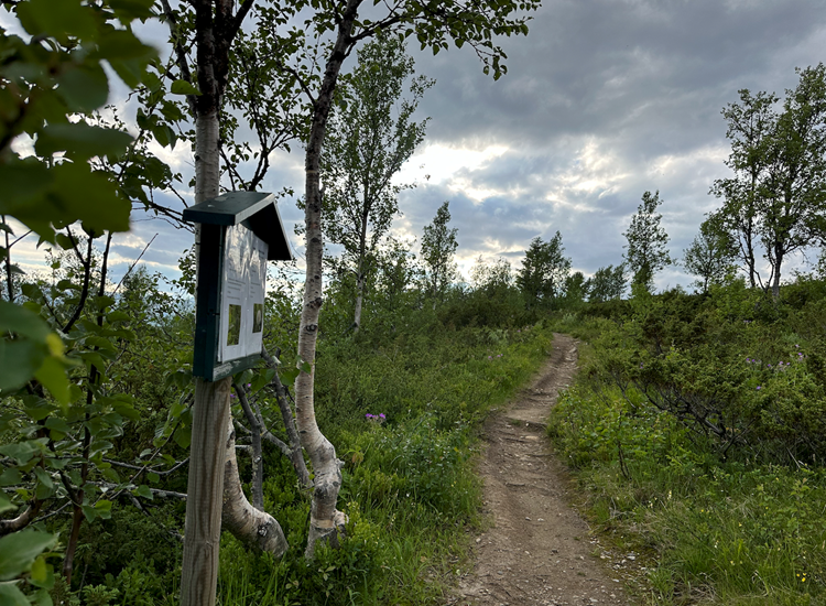 Skjenhauglieturskilt